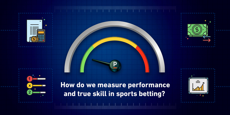 Performance and true skill in sports betting